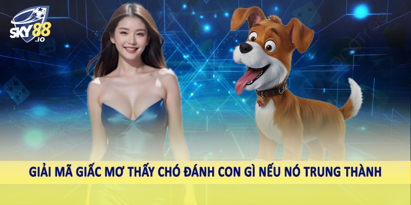 Mơ Thấy Chó Đánh Con Gì SKY88 - Đầu Tư Hiệu Quả Cùng Cao Thủ 4 Giải mã giấc mơ thấy chó đánh con gì nếu nó trung thành