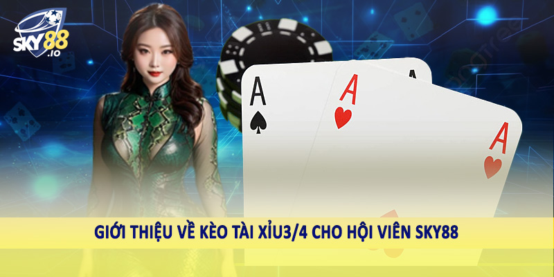 Giới thiệu về kèo tài xỉu3/4 cho hội viên SKY88